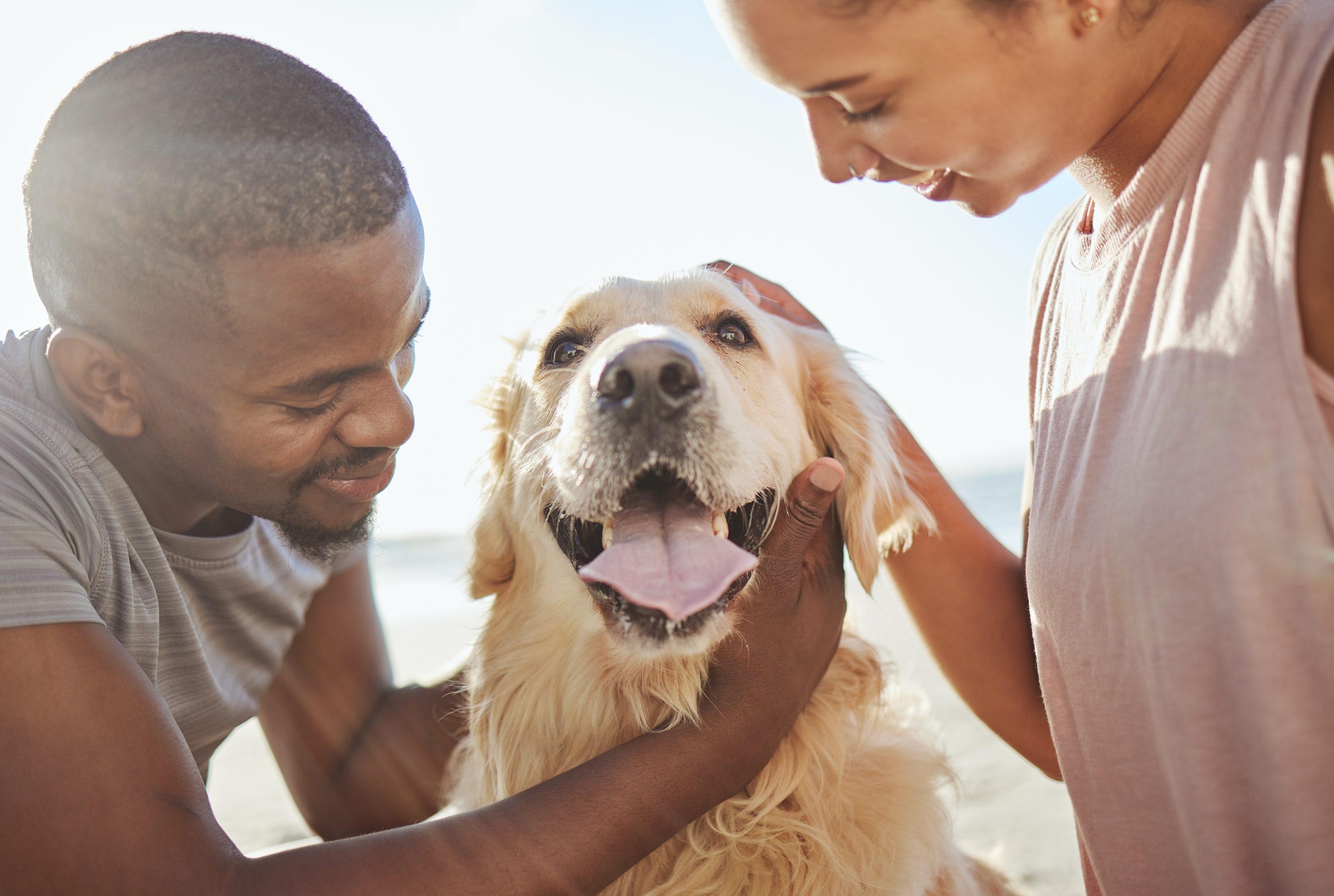 couple with dog on the beach - Rosecrans Veterinary Clinic