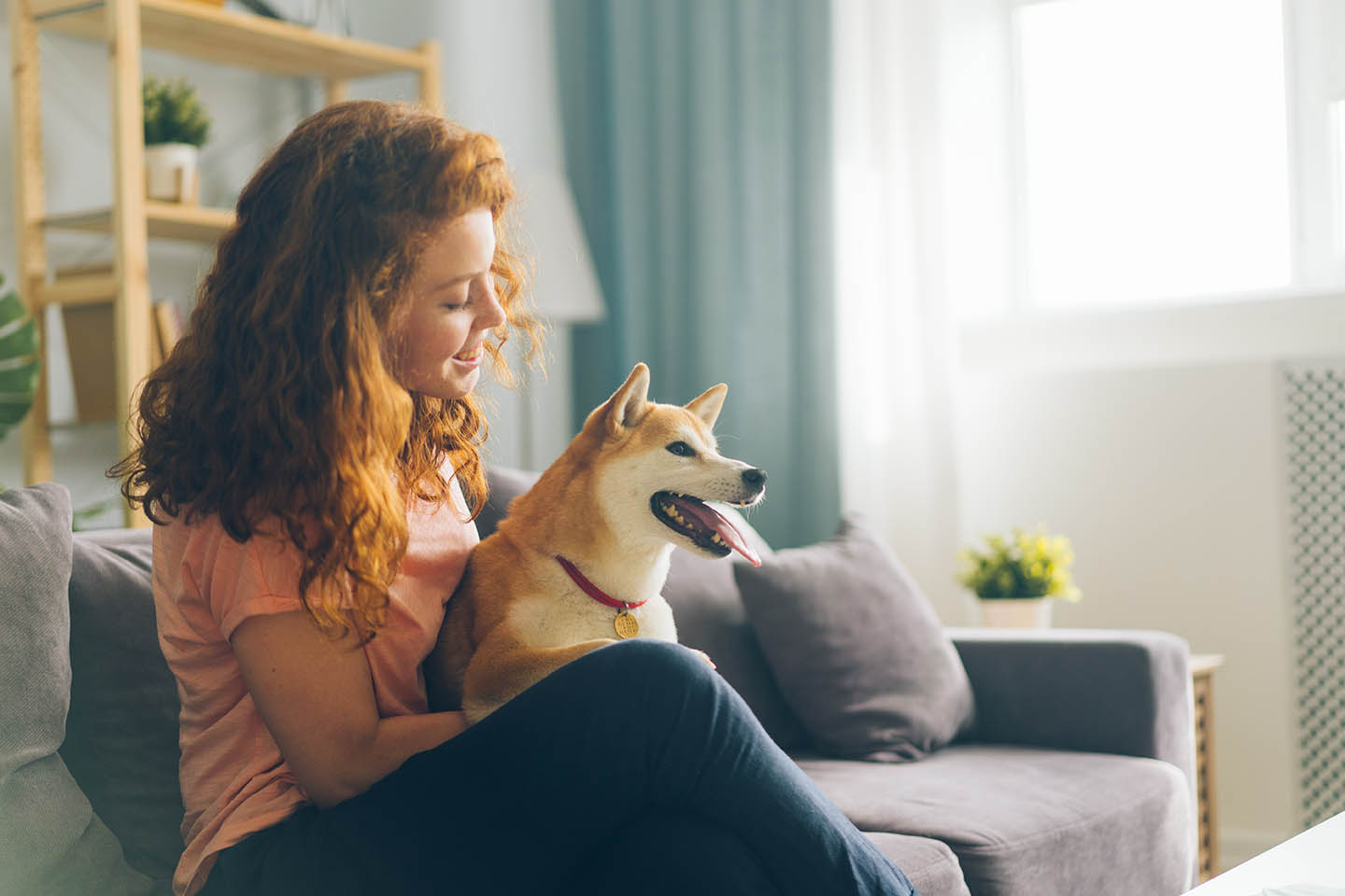 healty pet after a vet checkup
