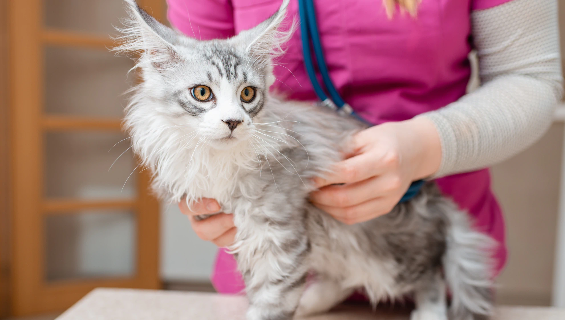 See the Experience for Yourself Mobile